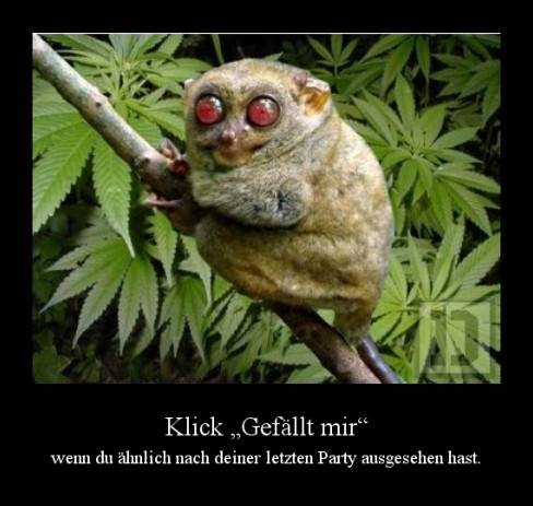 Klick „Gefällt mir“