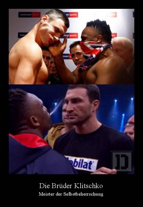 Die Brüder Klitschko
