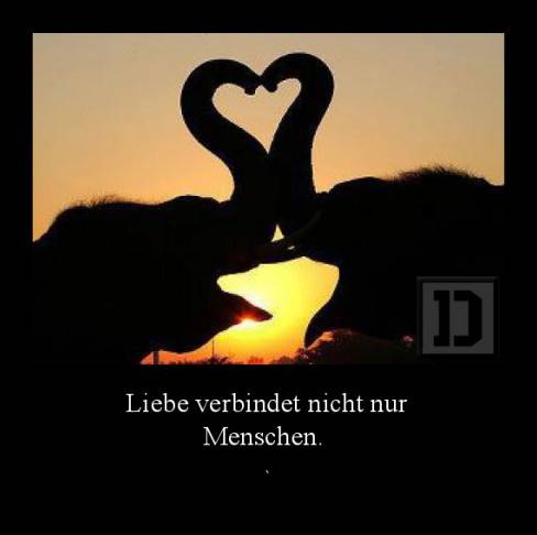Liebe verbindet nicht nur Menschen.