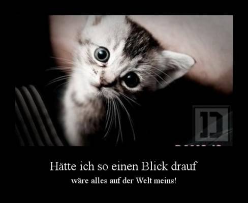 Hätte ich so einen Blick drauf