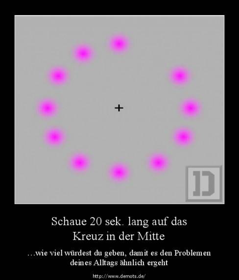 Schaue 20 sek. lang auf das Kreuz in der Mitte