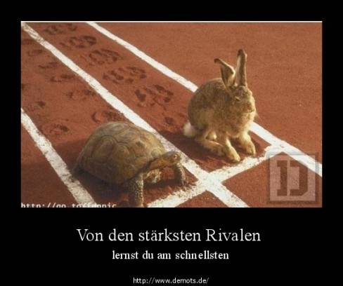 Von den stärksten Rivalen