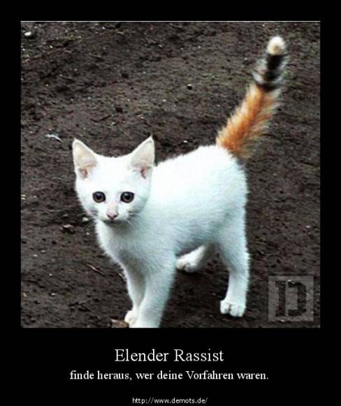 Elender Rassist