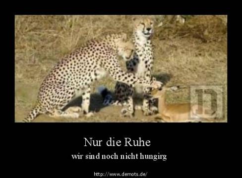 Nur die Ruhe