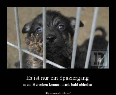 Es ist nur ein Spaziergang