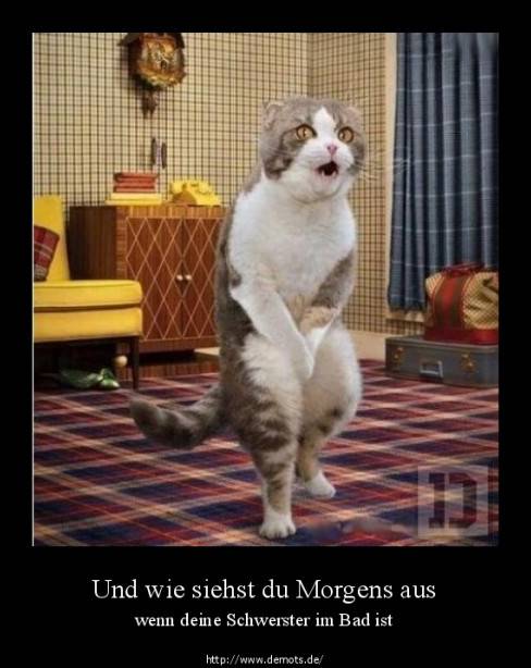Und wie siehst du Morgens aus