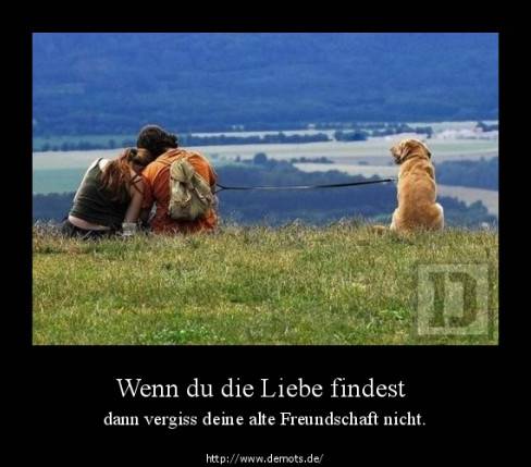 Wenn du die Liebe findest