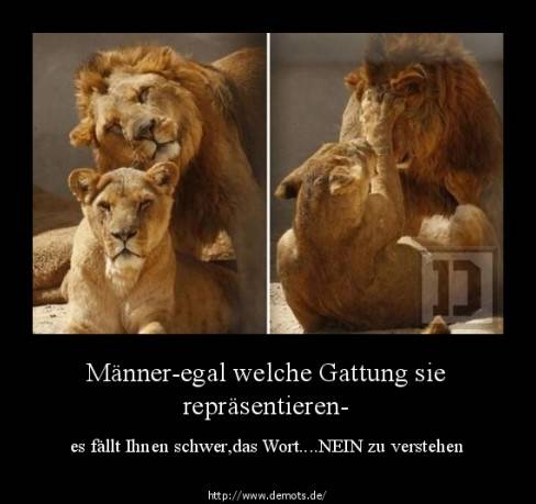 Männer-egal welche Gattung sie repräsentieren-
