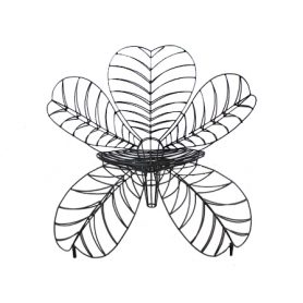 Fiore (minimal), Spazzapan - Deesup