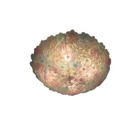 Flora 50, Voltolina - Deesup