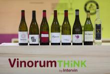 vinoriumthink_19.jpg