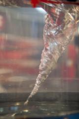 _mg_2625.jpg
