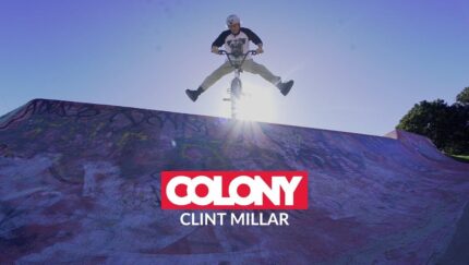 Clint 43