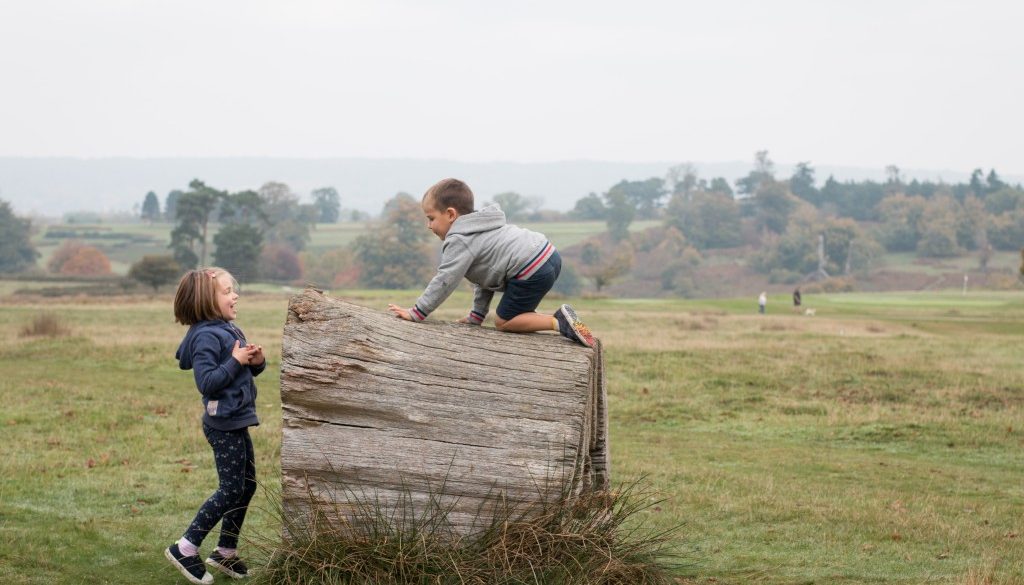 Knole-Park-2017-1656