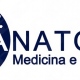 Anatomis
