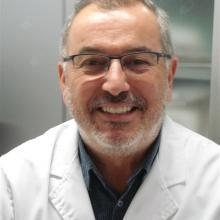 Ramon Domingo Ferrerons