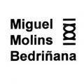 Miguel Molins Bedriñana