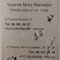 Vicente Mota Mercader