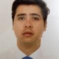Julian Alberto Ariza Traslaviña