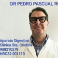 Pedro Pascual Rubin