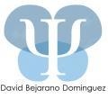 David Bejarano Domínguez