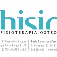 Phisios: Fisioterapia Manual y Osteopatía