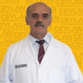 Lütfi Özkan