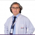 Uysaler Aslan