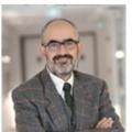 Ali Remzi Dalay