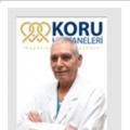 Ahmet Mahli