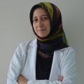 Ayşe İlknur Çelik