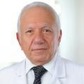 Güner Kemal Özgür
