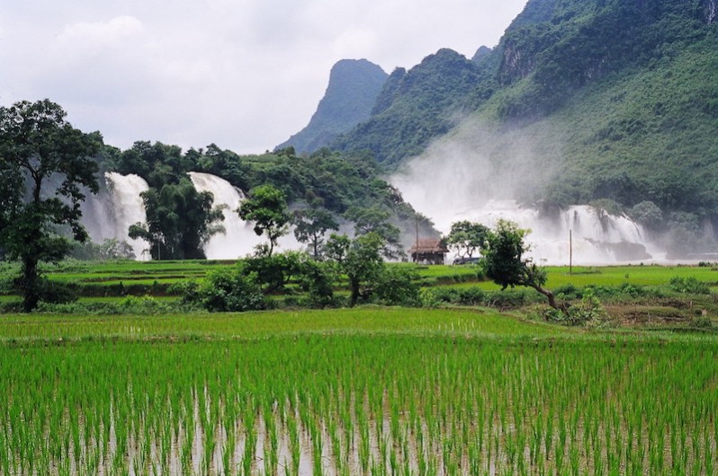 vietnam