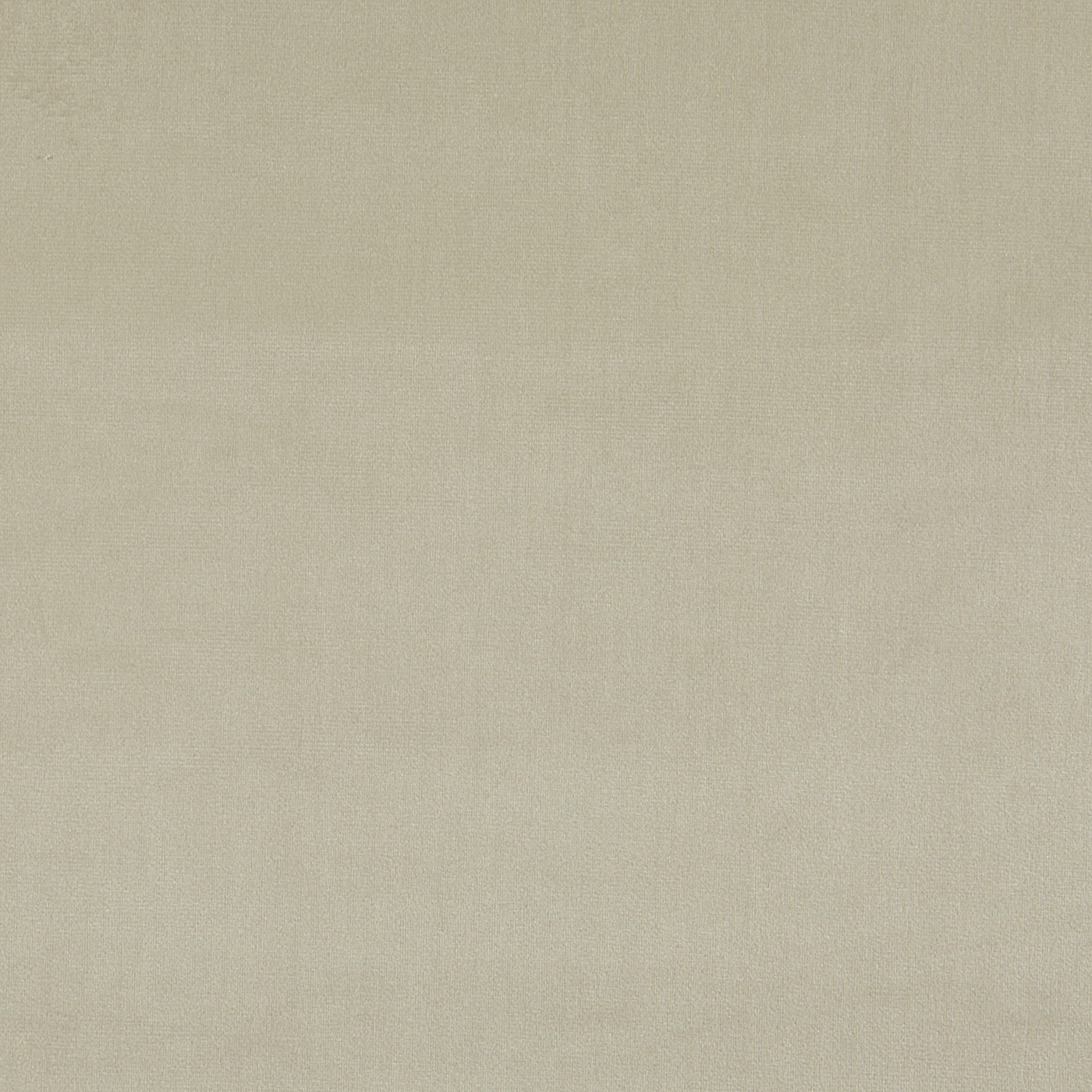 Velour Ivory fabric Velour Prestigious Textiles