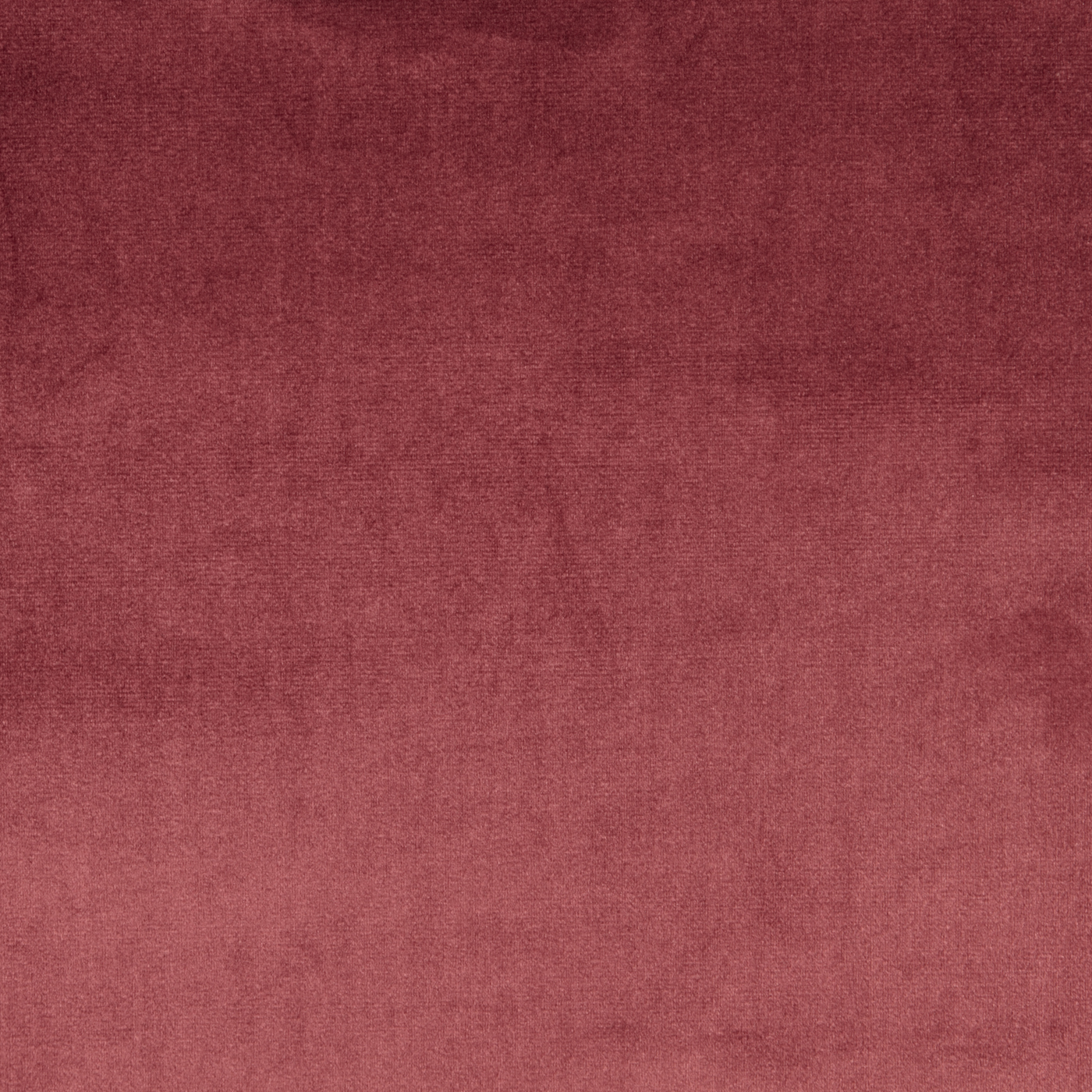 Velour Damson fabric Velour Prestigious Textiles