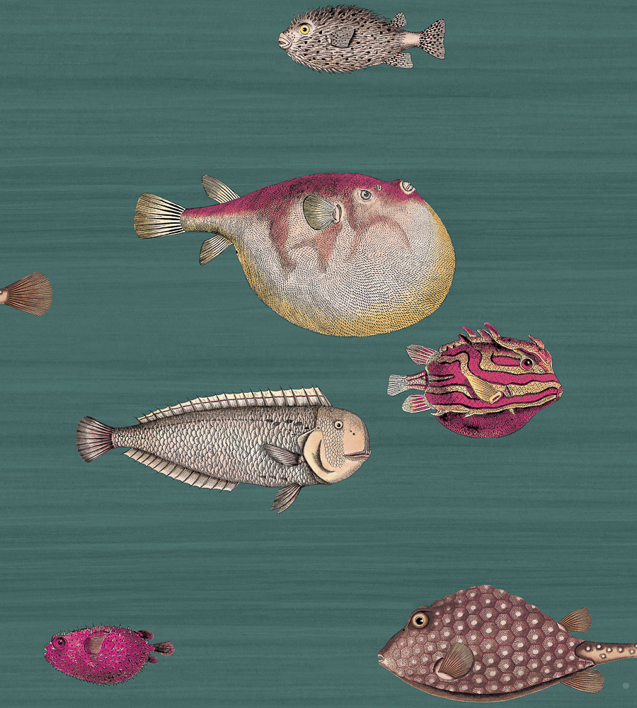 Acquario Viridian wallpaper Fornasetti Cole & Son
