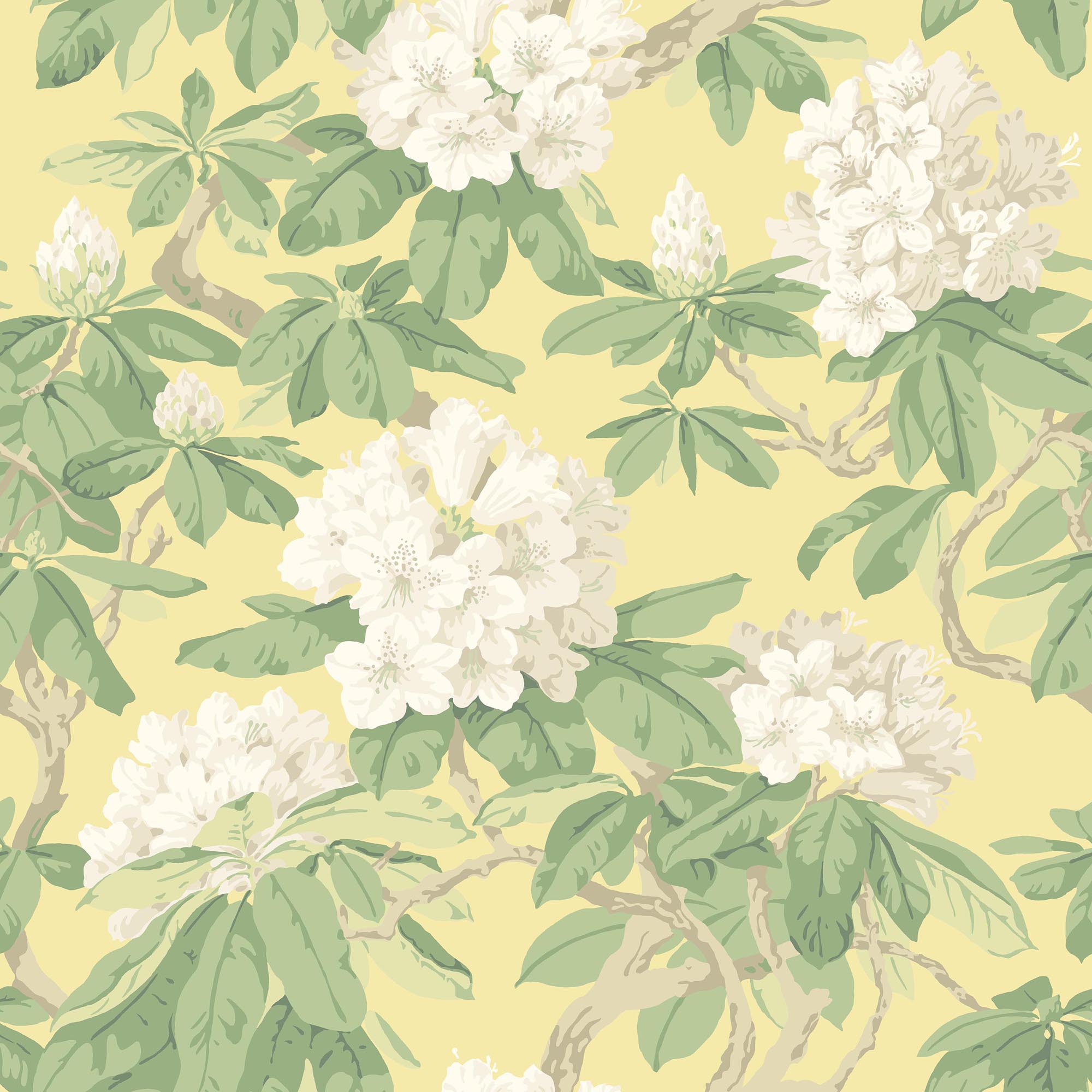 Bourlie 4021 wallpaper Folie Cole & Son