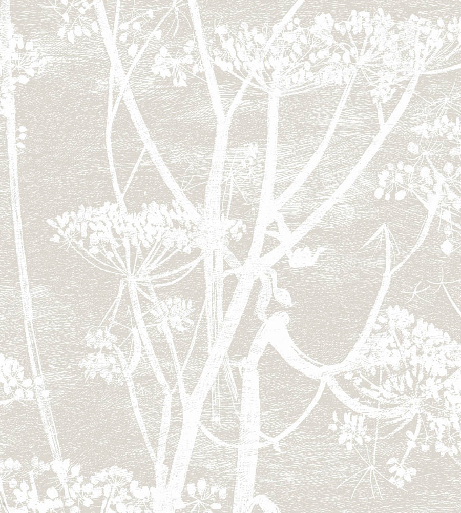 Cow Parsley 51 wallpaper The Contemporary Collection Cole & Son