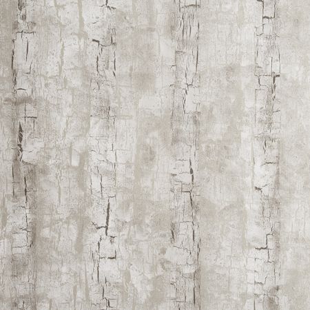 Tree Bark - Birch wallpaper | Reflections Wallpapers | Clarke & Clarke