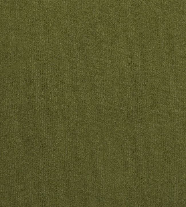 Plush Velvet Vine fabric Plush Velvet Warwick