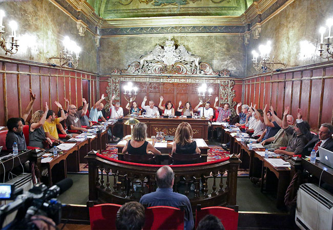 Ple Municipal de Vic