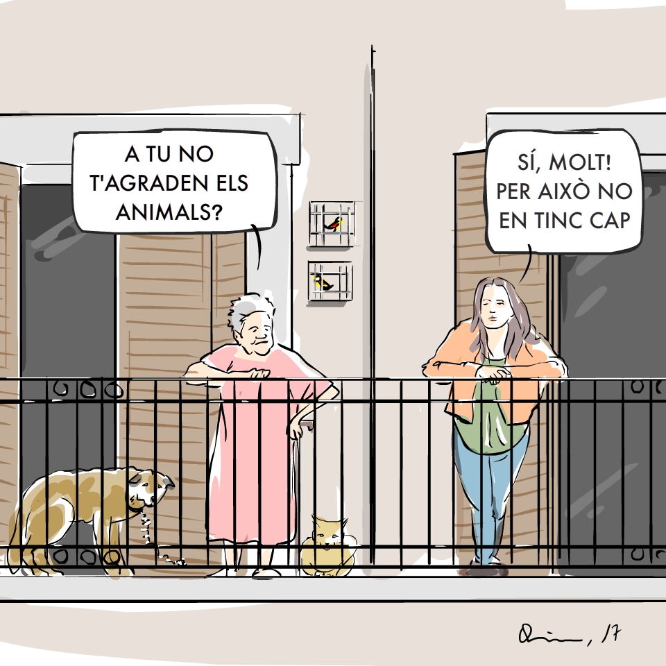 animals_100317