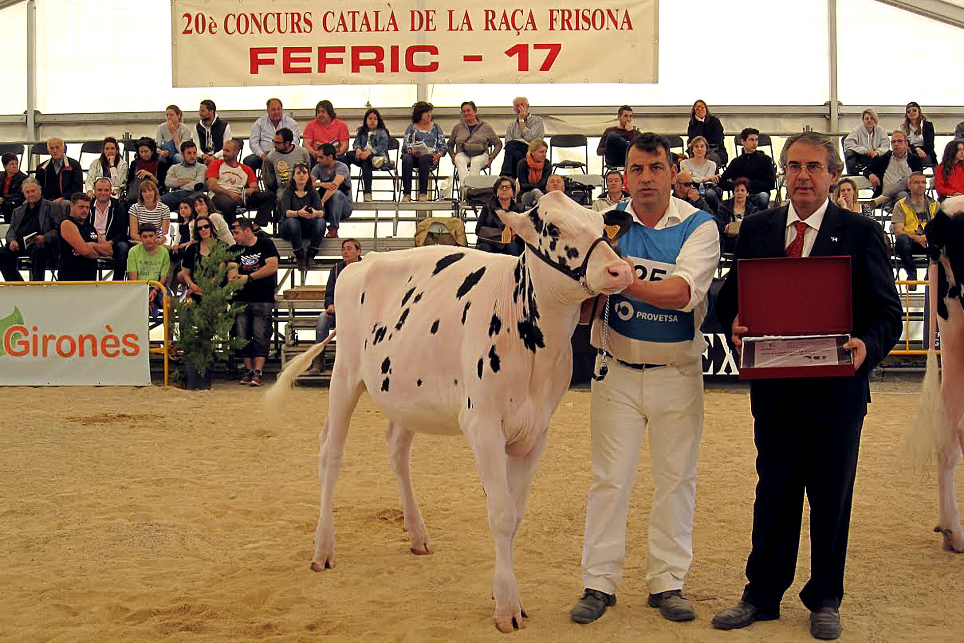 La Gran Campiona en vedelles i braves va ser per a Cal Marquet, tot i que les campiones braves són d'Osona