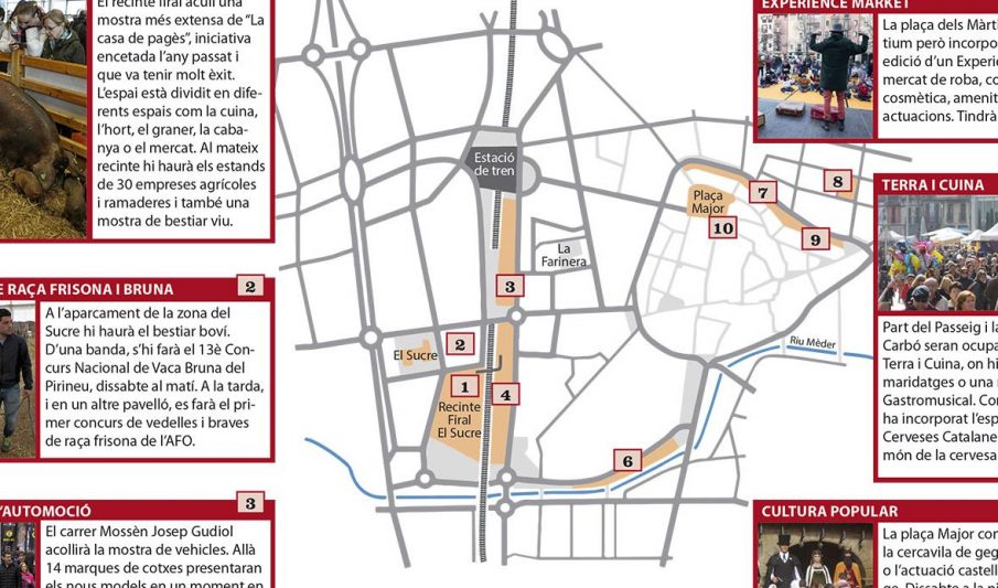 Què cal veure al Mercat del Ram?