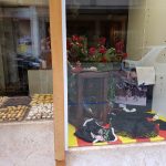 Miquel Erra