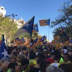 Centenars d'estelades als trams osonencs