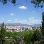 Bonificar determinats impostos a col·lectius concrets no és la millor via per avançar cap a la igualtat d’oportunitats