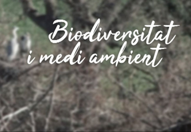 biodiversitat