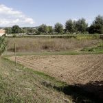 Griselda Escrigas