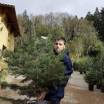 Miquel Erra
